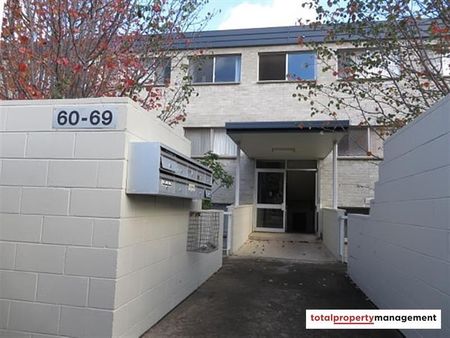 61/4 Wilkins Street, Mawson ACT 2607 - Apartment For Rent | Domain - Photo 2