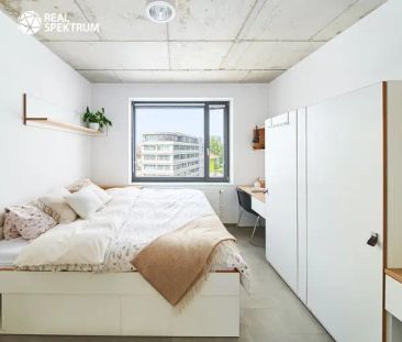Pronájem moderního bytu 1+kk (Double B) u Vaňkovky – BEZ PROVIZE! - Photo 2