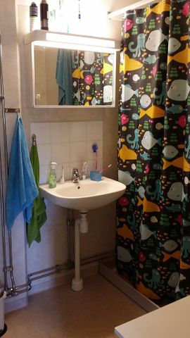 Solberga: Etta i markplan - Photo 3