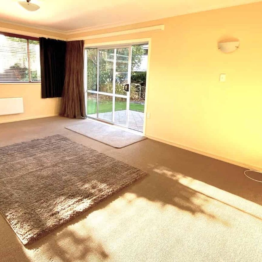 Sunny, Central and Spacious! - Photo 1