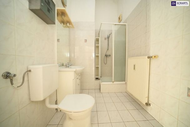 EINZIEHEN & WOHLFÜHLEN! Grün, zentral, genial – Wohnen mit Wohlfühlfaktor im Herzen von Graz! - Photo 1