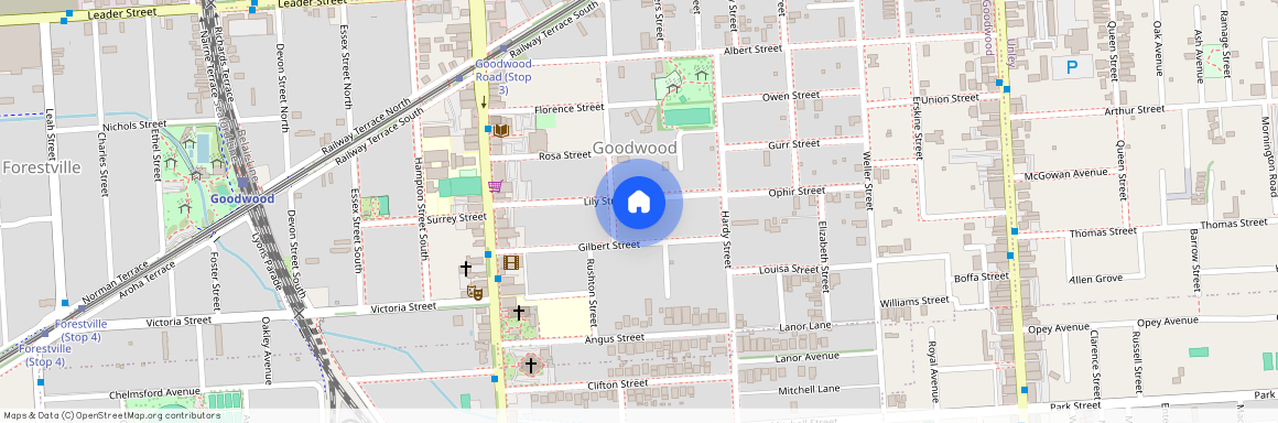 19 Lily Street, SA 5034, Goodwood