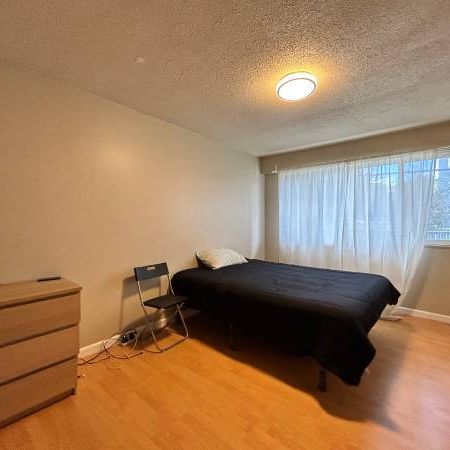 Spacious one bedroom unit on East Pender street Near Commercial Drive - Photo 3