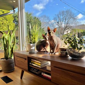 4 ½ à Louer, Animaux Acceptés! - Photo 2