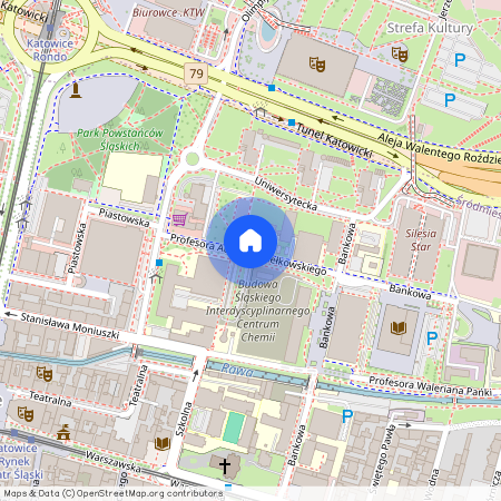 ul. prof. Augusta Chełkowskiego, Śródmieście, Katowice, śląskie