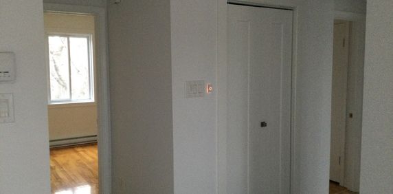 LUMINEUX, LIBRE MAINTENANT - Photo 2