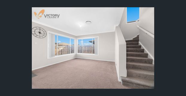 Spacious 4 bedroom home house for rent in Schofields - Photo 1