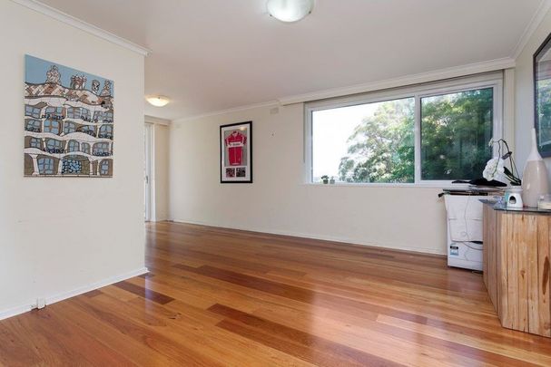 Spacious Living, Close to Hays Paddock - Photo 1