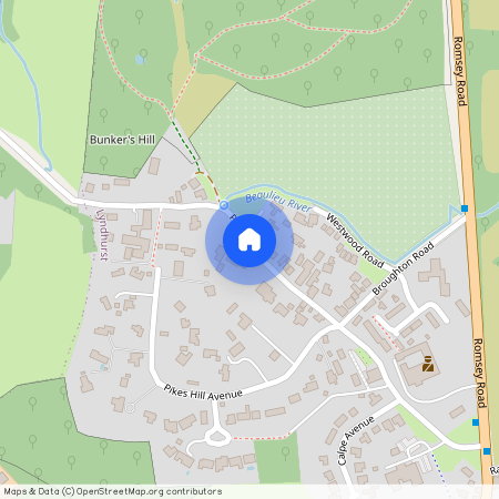 Pikes Hill, Lyndhurst SO43