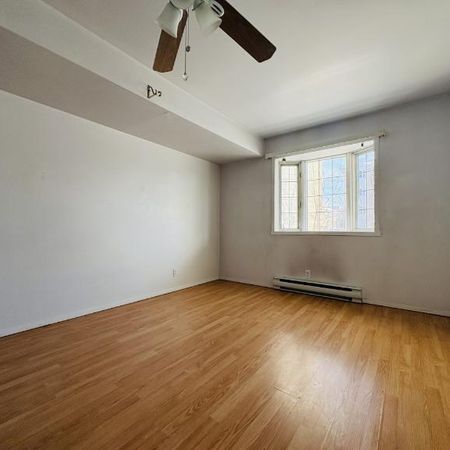 Appartement 3 ½ à louer Sainte-Foy / Sillery juillet 2026 - Photo 3