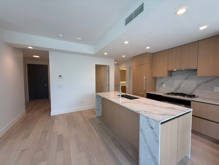 Brand New Foster Martin Building! 2 Bedroom, 1 Bath Condo - Photo 3