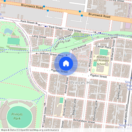 155 Arnold Street, Carlton North