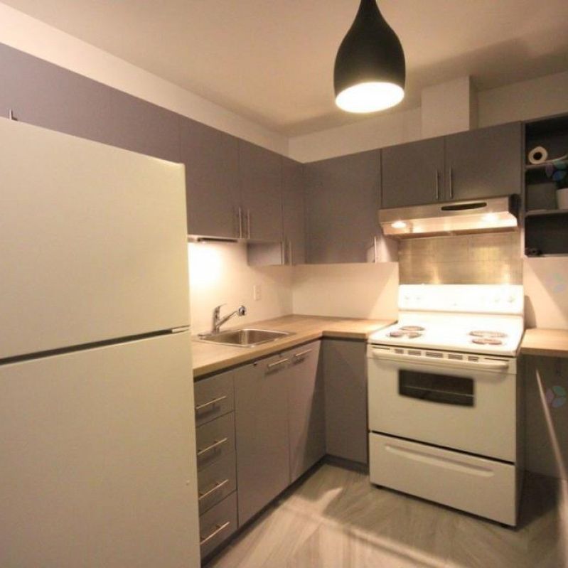 Métro Papineau/Beaudry: studio rénové à louer complètement meublé avec tout d'inclus - Photo 1