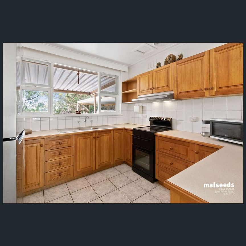 1 Wren Street, Mount Gambier, SA 5290 - Photo 1