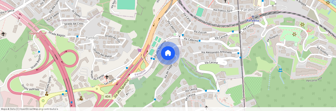 via dei Faggi 2a, 6912 Lugano, Svizzera