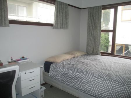 78B London Street, Dunedin Central, Dunedin City - Photo 3