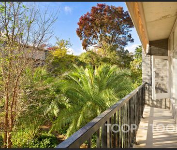 City Living with Parkland Views - Photo 1