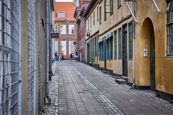 Moderne bofællesskab - for voksne uden hjemmeboende børn. - Photo 1