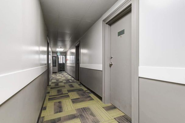 Renovated Suite - 1 Bedroom - Photo 1
