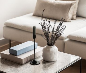 Tweede Jan Steenstraat 92-2, Hemonybuurt, 1074CS, Amsterdam - Photo 2