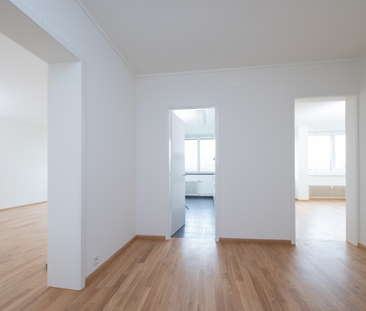 Gemütliche 2-Zimmerwohnung mit Aussicht auf den Rhein - Foto 4
