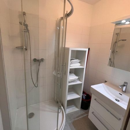 Apartament cu 2 camere de inchiriat in zona Gorjului - Fotografie 3