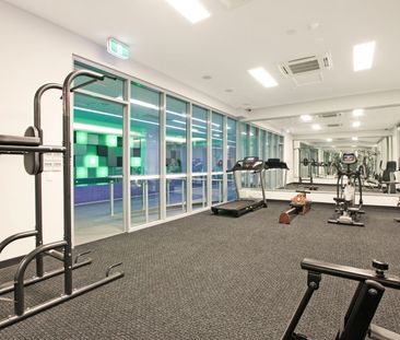 16/39 Cavenagh Street, - Photo 3