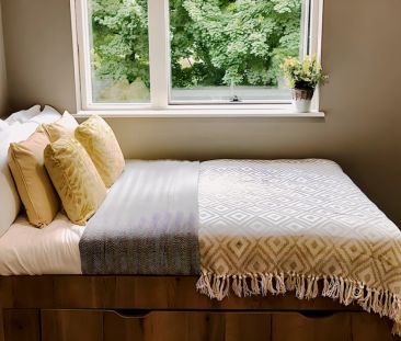 Classic Studio Plus - Photo 6