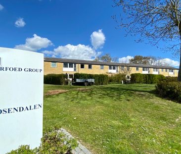 1 værelses – Rosendalen 205, 1. tv. – Munkebo - Foto 5