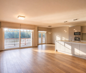 Appartement te huur in Berlare - Photo 1