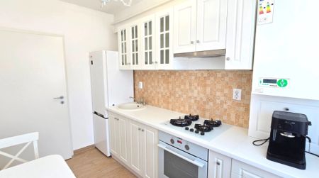 De inchiriat apartament nou, 1 camera, decomandat, 45 mp, CUG, Al Tudor Neculai, Cod 162717 - Photo 4