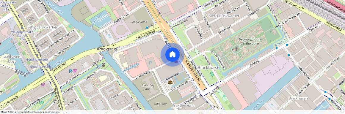 Binckhorstlaan 131-1, Binckhorst, 2516BA, Den Haag