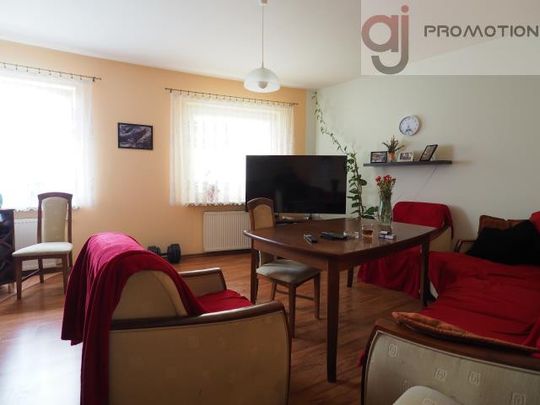 Łódź, Polesie, Struga - Zdjęcie 1