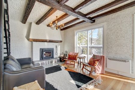 251 Ch. Wildwood, Saint-Adolphe-d'Howard, QC J0T - Photo 2