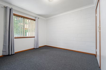 2/199 ALEXANDRA STREET, East Albury NSW 2640 - Apartment For Rent | Domain - Photo 4