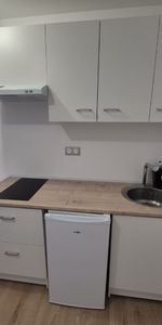 Location Appartement 2 pièces 34m² SIN LE NOBLE 59450 - Photo 3