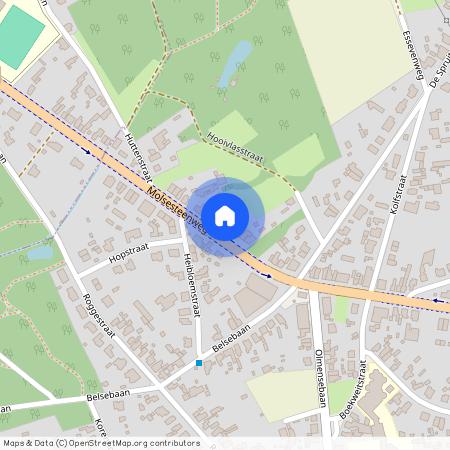 Molsesteenweg 124/2, 2490 Balen