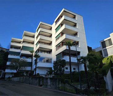 via guidino 20, 6900, Paradiso - Photo 4