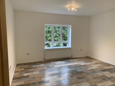 Modern & Spacious 1st Floor Apartment with Parking for Rent in Birmingham - Photo 4