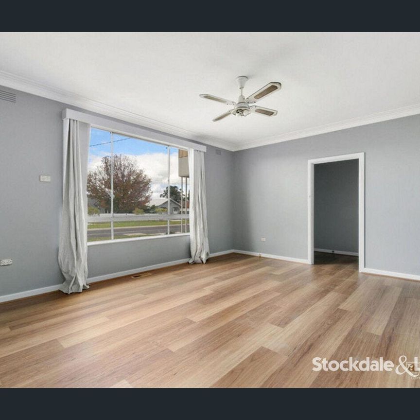 Renovated Delight! - Photo 1