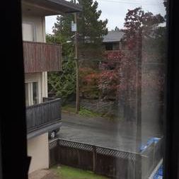 1BR Marpole - Photo 4