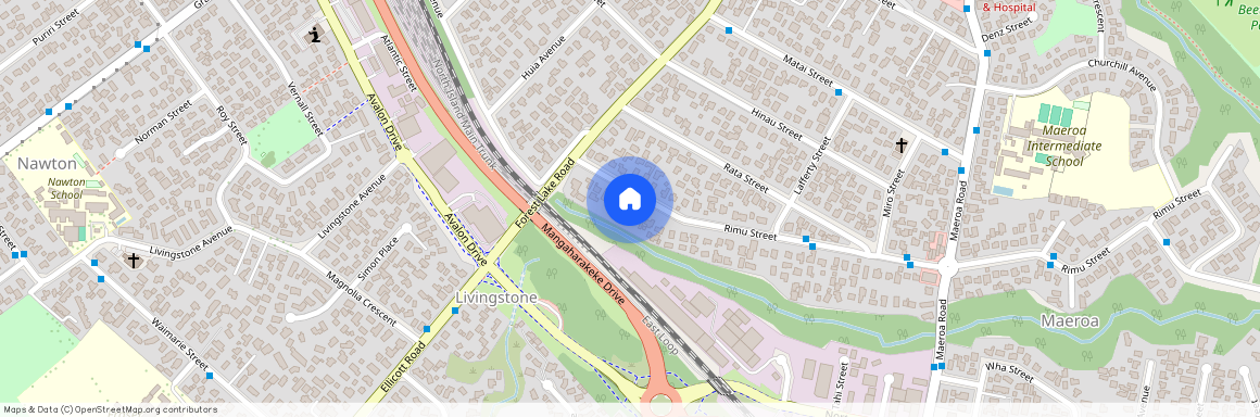 4/155 Rimu Street, Maeroa, Hamilton City