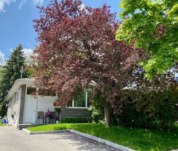 For Lease - 74 Newbury Drive Unit# Bmnt, Newmarket, Ontario - Photo 6