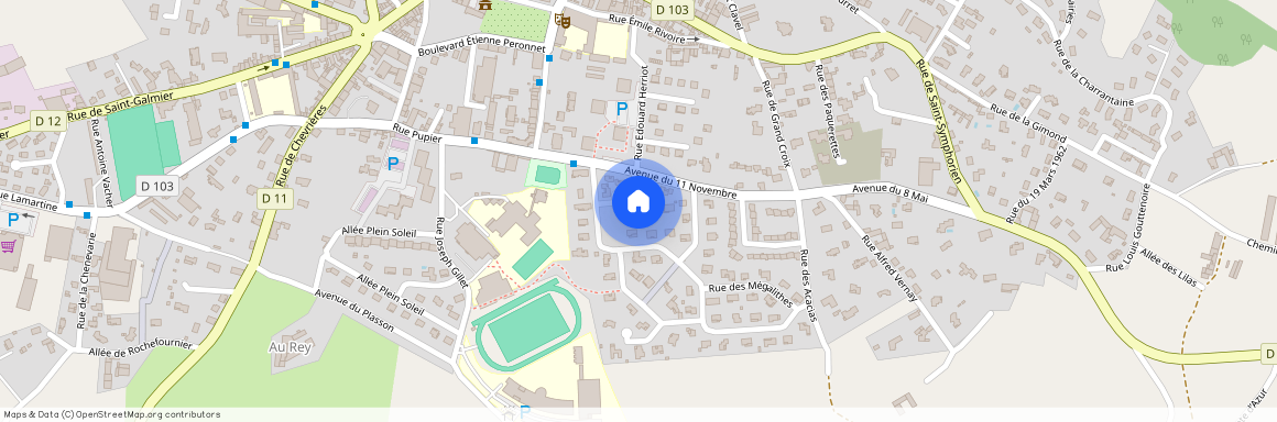 42140, Chazelles-Sur-Lyon