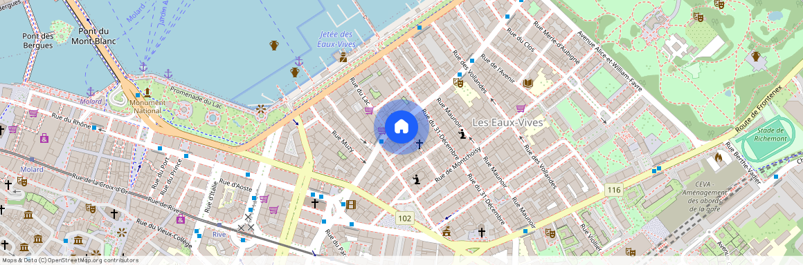 Rue Cherbuliez 2, 1207 Genève