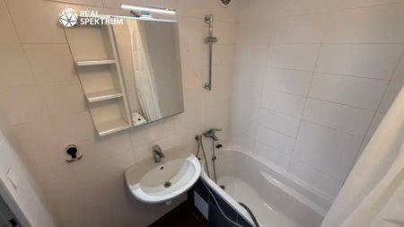 Byt 1+1 s lodžií na pronájem, 42 m - Fotografie 4