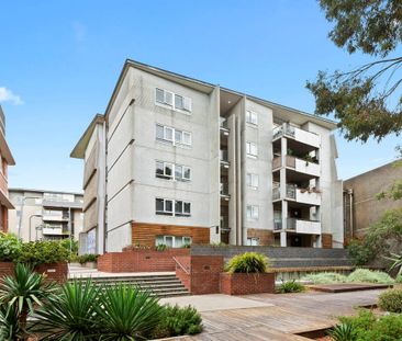 102/5 Greeves Street, St Kilda VIC 3182 - Apartment For Rent | Domain - Photo 4