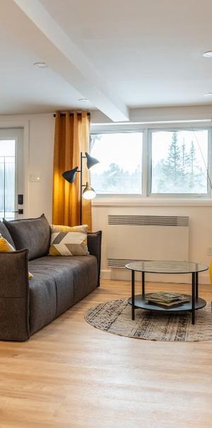 Condo – Rez-de-jardin – Le Ginkgo doré - appartement meublé et équipé - Photo 1