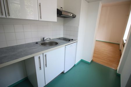 Location Appartement 1 pièce 33m² LIMOGES 87000 - Photo 4