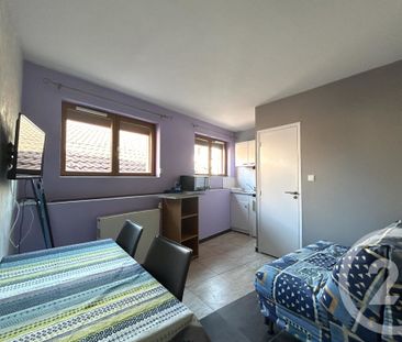 Location Appartement 1 pièce 25m² GRENOBLE 38000 - Photo 2